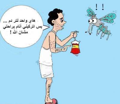 النوم والبعوضة