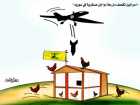 قصف مزرعة دواجن في سوريا