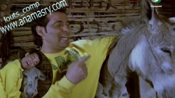 حوار تلفزيوني ..بحبك يا حمار