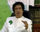 القذافي :إذا أحضرت أي واحد وعملت له امتحانا سيسقط ويحصل على صفر