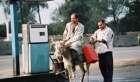 صور طريفة من مصر