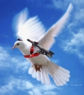 وعدُ صدقٍ  ..للشاعرة سهر حامد ( 13 عام )