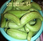 أبو فقّوس