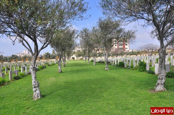 "مقبرة الأموات..متنّزه الأحياء":دنيا الوطن جولة مصورة داخل"مقبرة الإنجليز"بمدينة 3909892189.jpg
