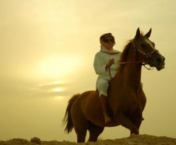الخيول العربيه الاصيله-موضوع شامل بالصور-كل 3910014058.jpg