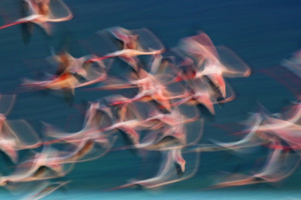  3910162895.jpg