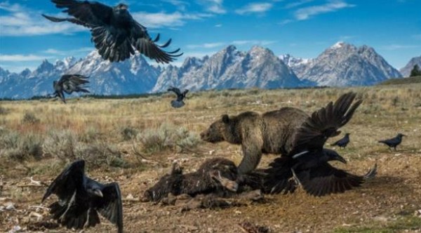 5 أشهر و200 ألف مرة ليحصل على هذه الصورة! 5 أشهر و200 ألف مرة ليحصل على هذه الصورة!
