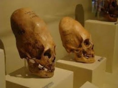 العثور على جماجم غريبة في المكسيك