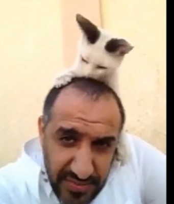 بالفيديو.. شاهد كيف شكرت قطة شابا سعوديا ساعدها في مرضها في مشهد موثر