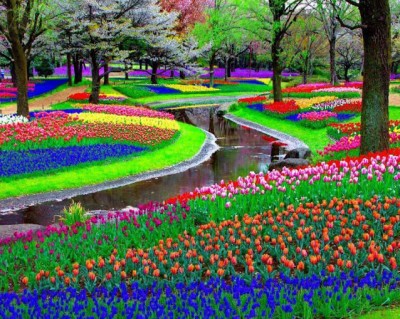صور لأكبر حديقة زهور في العالم