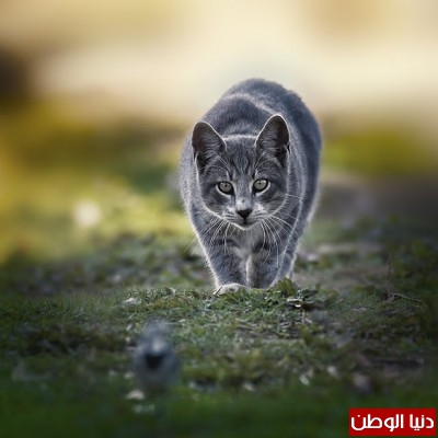 لحظات من الجمال صور غاية في الابداع