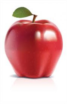 ممكن,أن,تصبح,مليونيرا,من,بيع,التفاح! , www.christian-
dogma.com , christian-dogma.com , ممكن أن تصبح مليونيرا من بيع التفاح!