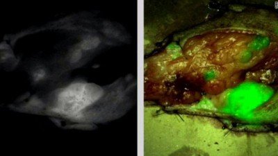 شاعر,أم,وشغف,طبيب,يحوّلان,سم,العقرب,إلى,أفضل,سلاح,ضد,السرطان , www.christian-
dogma.com , christian-dogma.com , شاعر أم وشغف طبيب يحوّلان سم العقرب إلى أفضل سلاح ضد السرطان شاعر,أم,وشغف,طبيب,يحوّلان,سم,العقرب,إلى,أفضل,سلاح,ضد,السرطان , www.christian-
dogma.com , christian-dogma.com , شاعر أم وشغف طبيب يحوّلان سم العقرب إلى أفضل سلاح ضد السرطان
