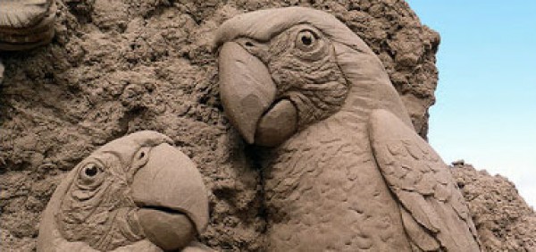 عندما يتحول الإبداع إلى واقع"فن النحت على الرمال "