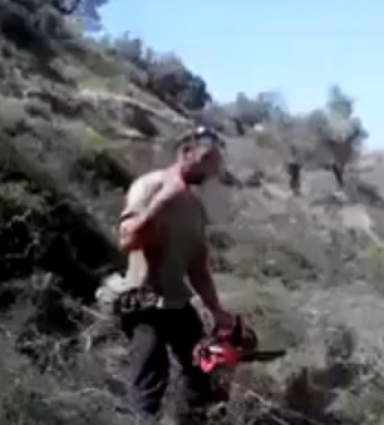 شاهد بالفيديو لحظة القبض على مستوطن قطع اشجار مزارعين في نابلس