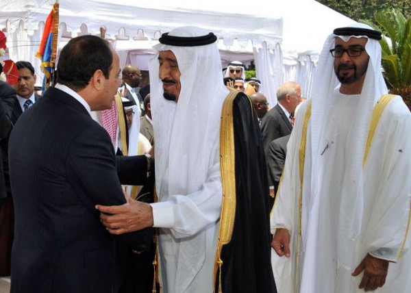 محمد بن زايد: علاقات راسخة بين الإمارات ومصر   دنيا الوطن