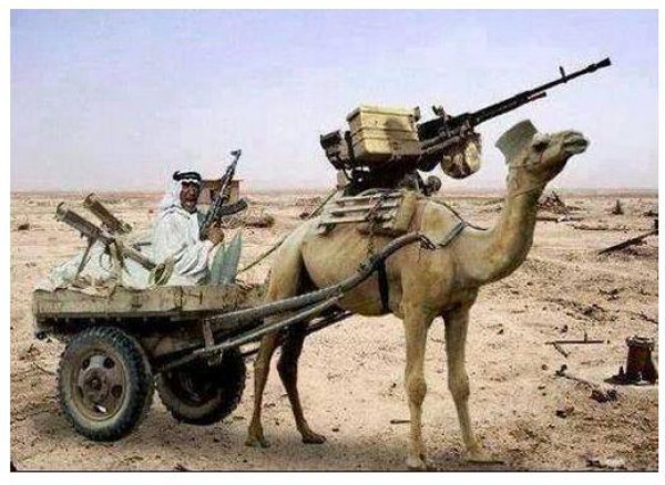 صورة