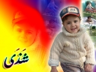 شذى إدريس المبحوح