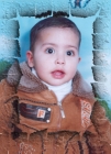 محمود أحمد أبو زعيتر