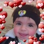 رضا أحمد الهرش