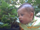 محمد مروان شعبان