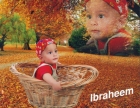 ابراهيم اسامة النحوي