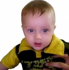 ضياء محمد أبو هين