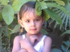 رشا عمر