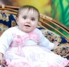 حلا ضياء شقورة