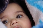 خليل نعيرات