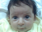 رينا صالح عواجة