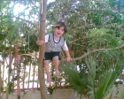 عاصم اديب القوقا