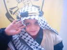 ابراهيم منيب سعدى المشهراوي