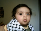 محمد محارب