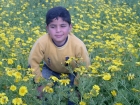 رشاد عبدالخالق ابوجباره