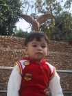 عمر محمد عمر توام