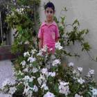 عبدالعزيز وائل عبدالعزيز بشير