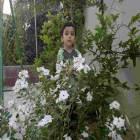 سند وائل عبد العزيز بشير