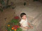 محمد ابو عكر