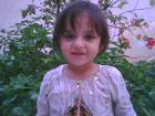 ديما شمالي