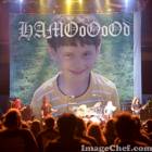 احمد محمد بشناق