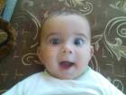 شادي عبد الكريم علاوي