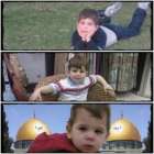 مهند فواز جندية