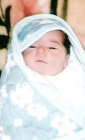 محمد سهيل شاهين