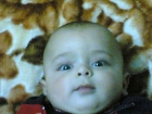 لؤي نائل العمصي