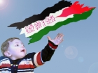 أسيد دويكات