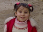 شهد سعيد طه