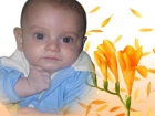 فتحي علاء الصاوي