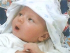 فادي محمد فراج