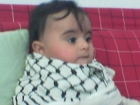أحمد أبو علي